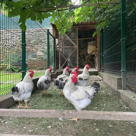 Casucas Casa de Campo